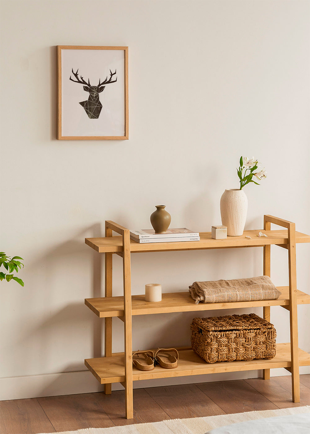 Forest deer