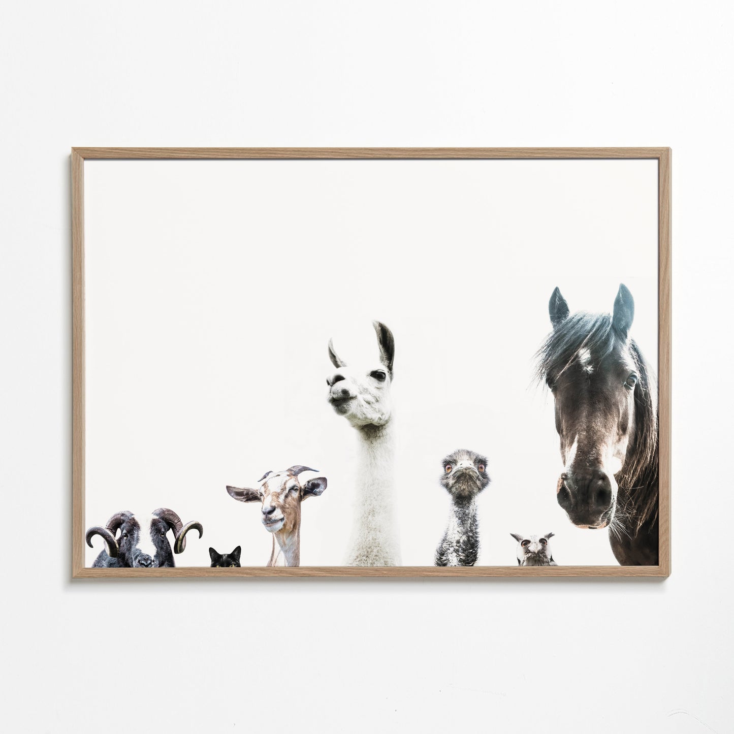 Animal Crew 2