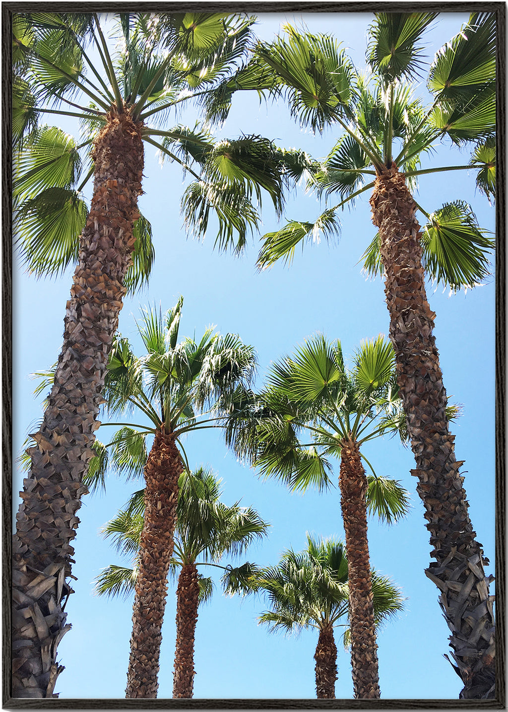 Venice Beach