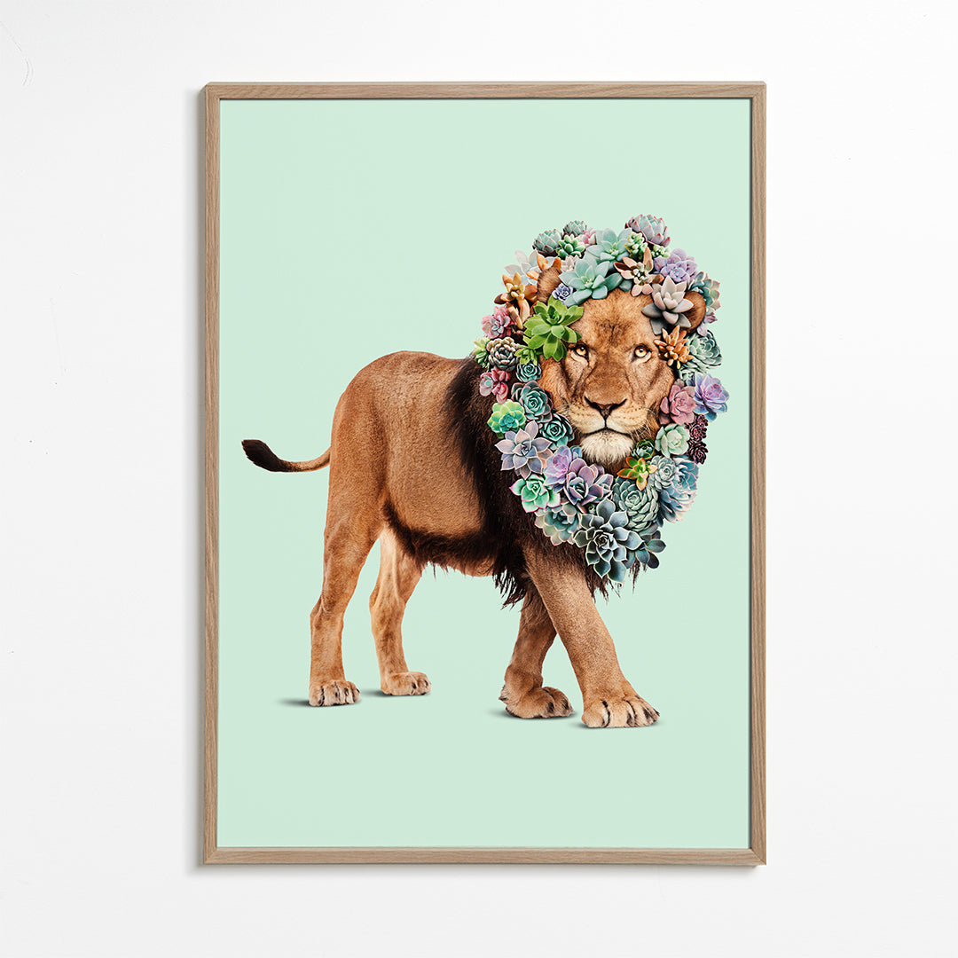 Succulent Lion