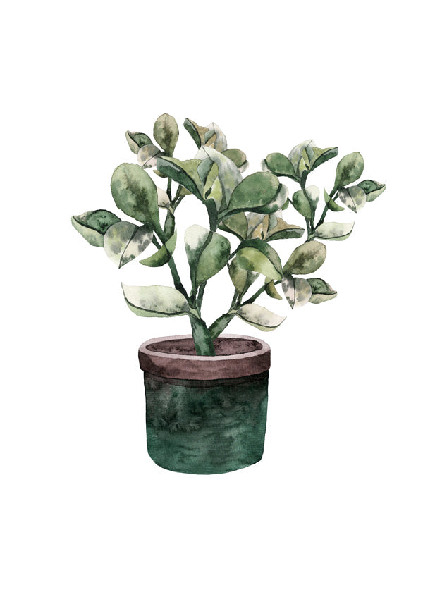 Potted Plantfriend