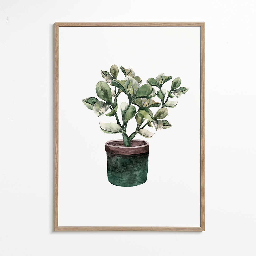 Potted Plantfriend