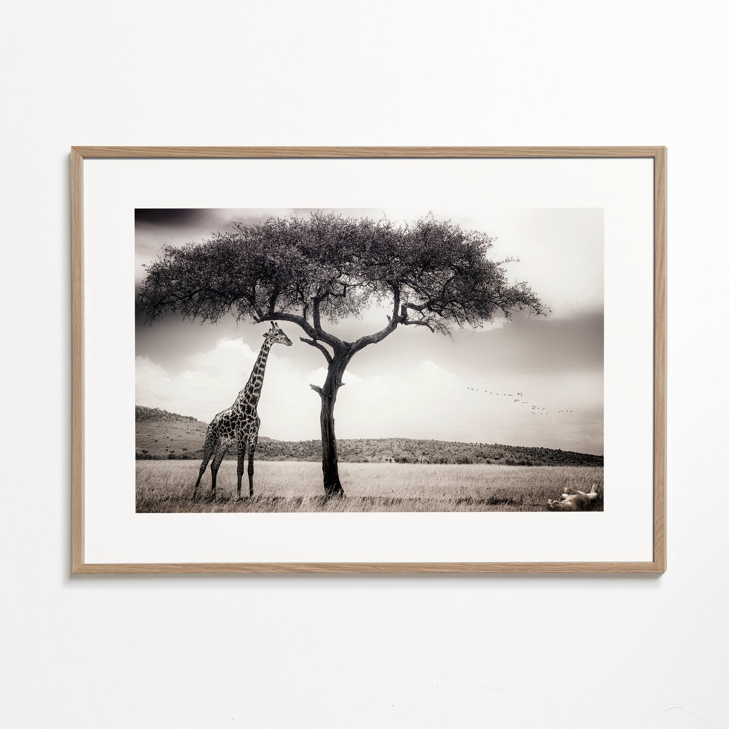 under the African sun - Piet Flour