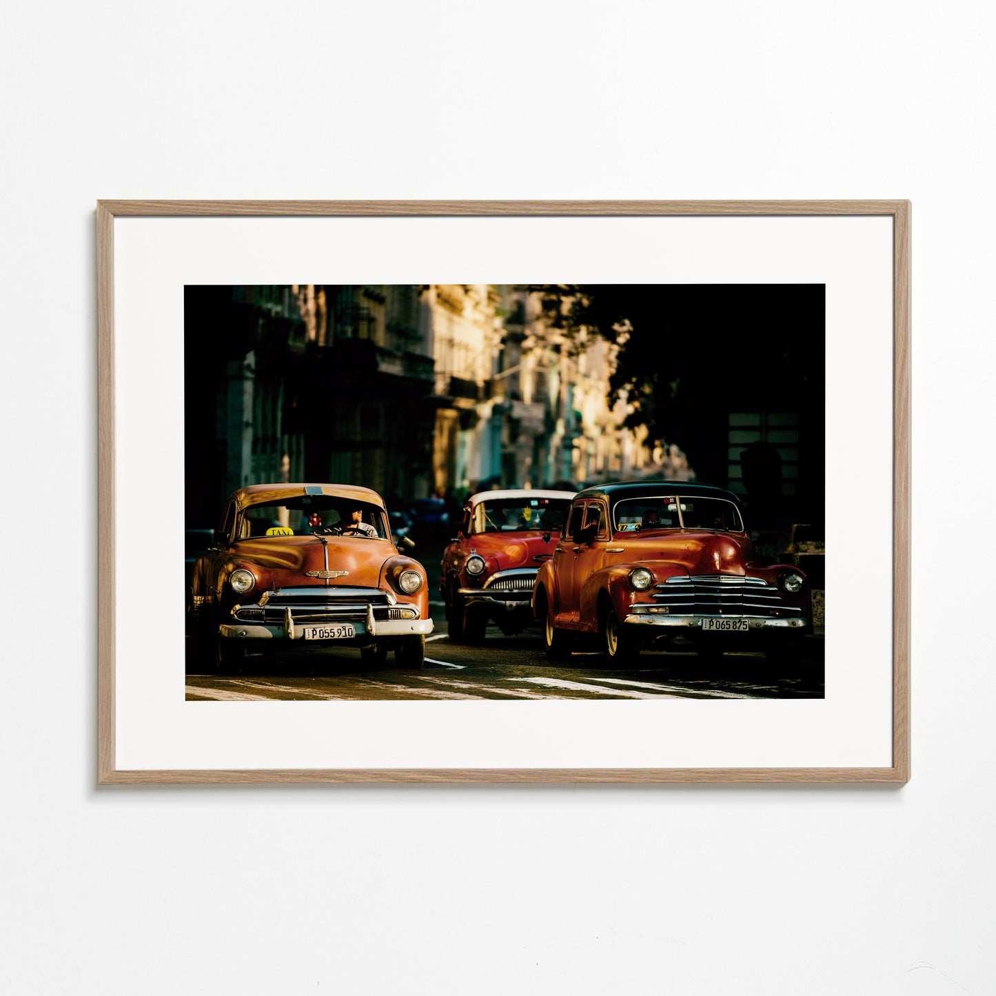 Come with me in the morning light - Gina Buliga