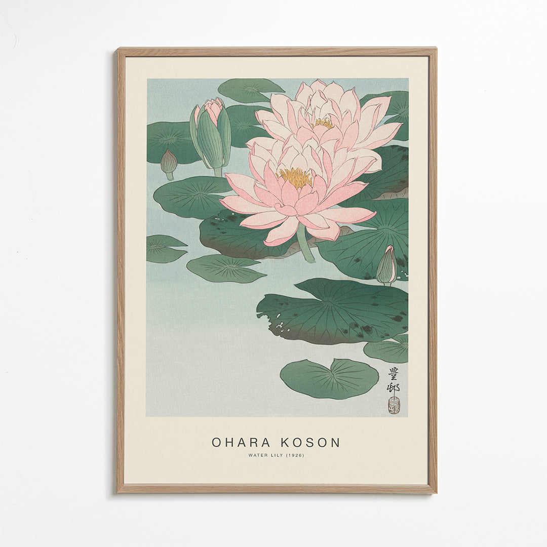 Water Lily (Special Edition) - Ohara Koson