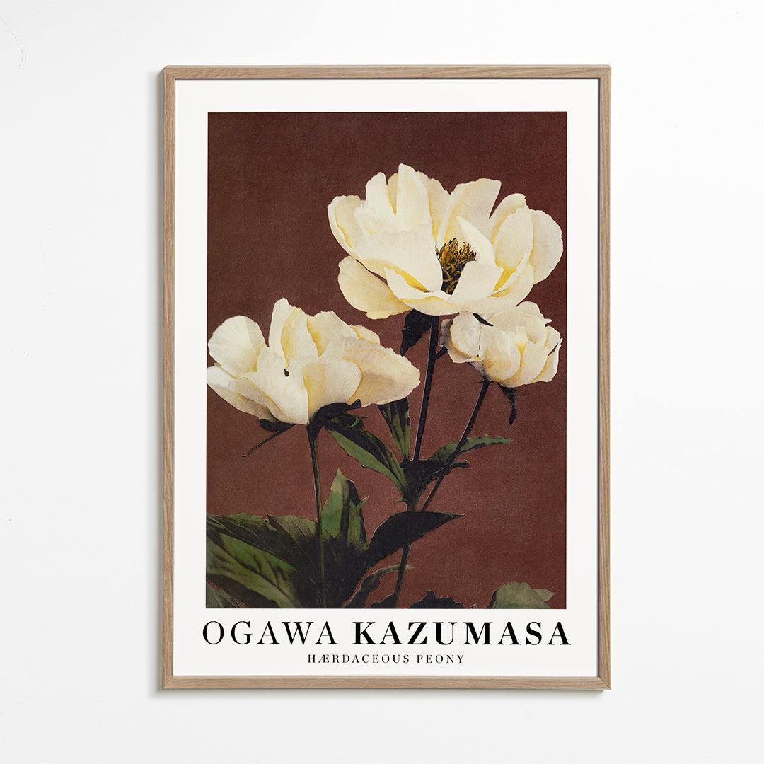 Ogawa Kazumasa peony