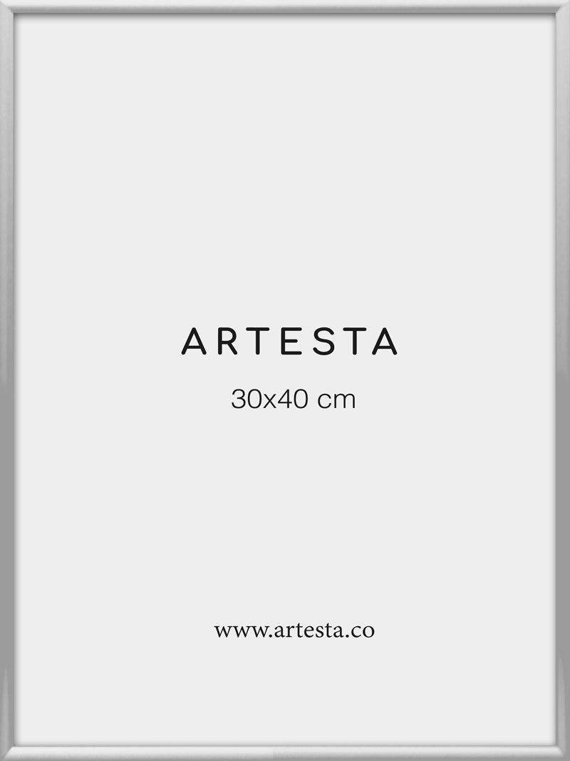 Cornice argentata 30x40cm