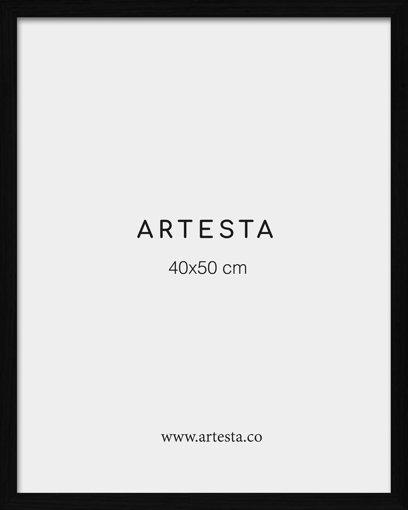 Cornice nera 40x50cm