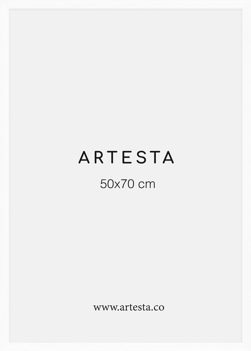Cornice bianca 50x70cm