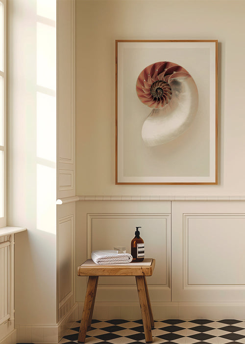 Fotografia di nautilus a spirale