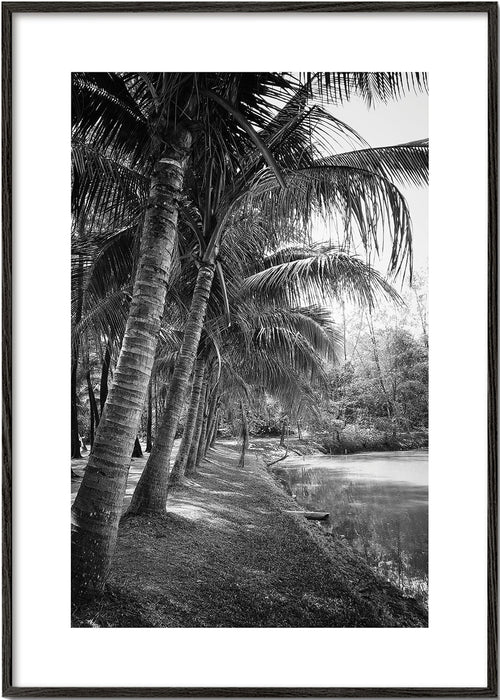 Paesaggio verticale con palme in fotografia