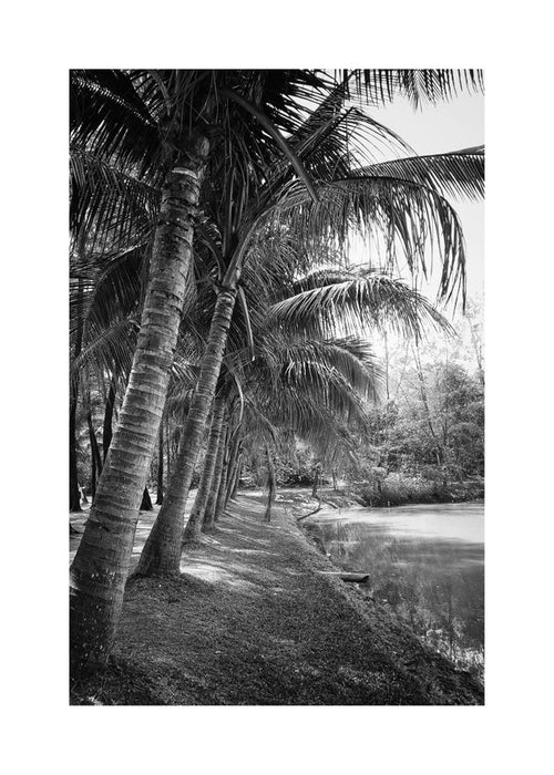 Paesaggio verticale con palme in fotografia