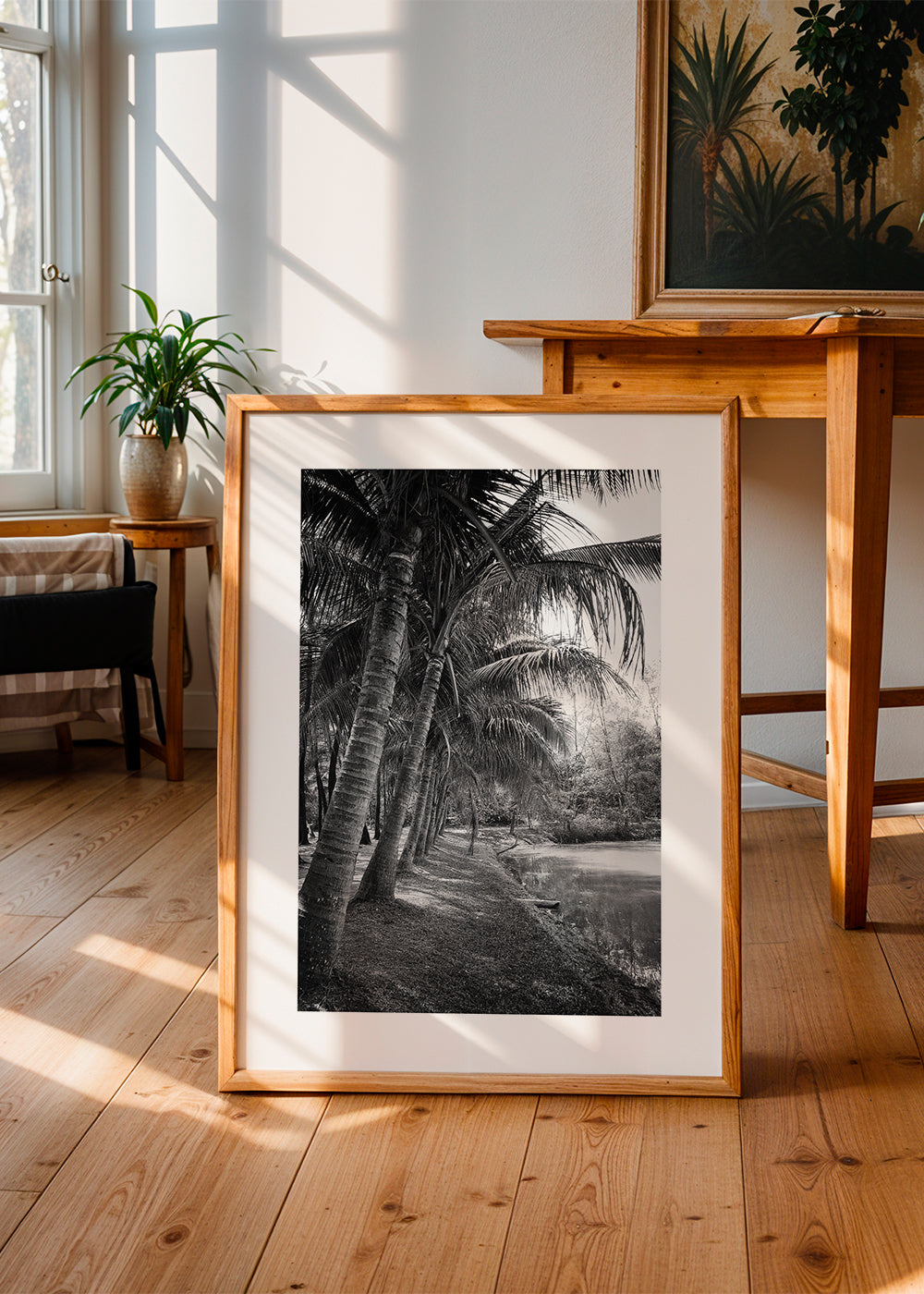 Coastal palm trees