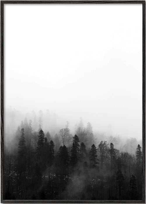 Arte paesaggio foresta nebbiosa