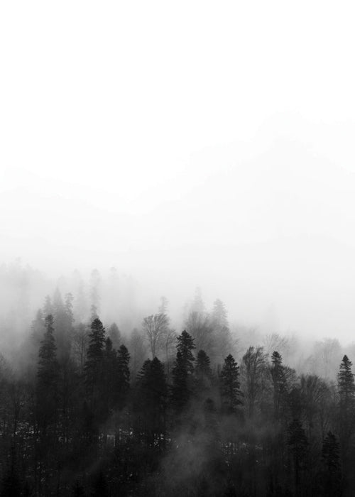Arte paesaggio foresta nebbiosa