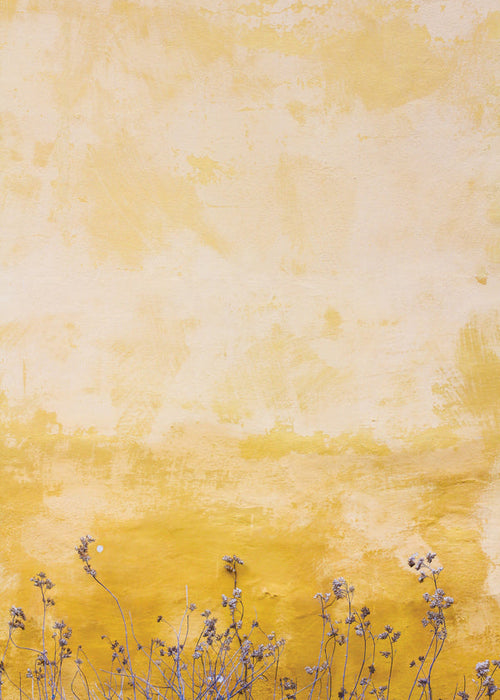 Stampa botanica: muro testurizzato con fiori secchi