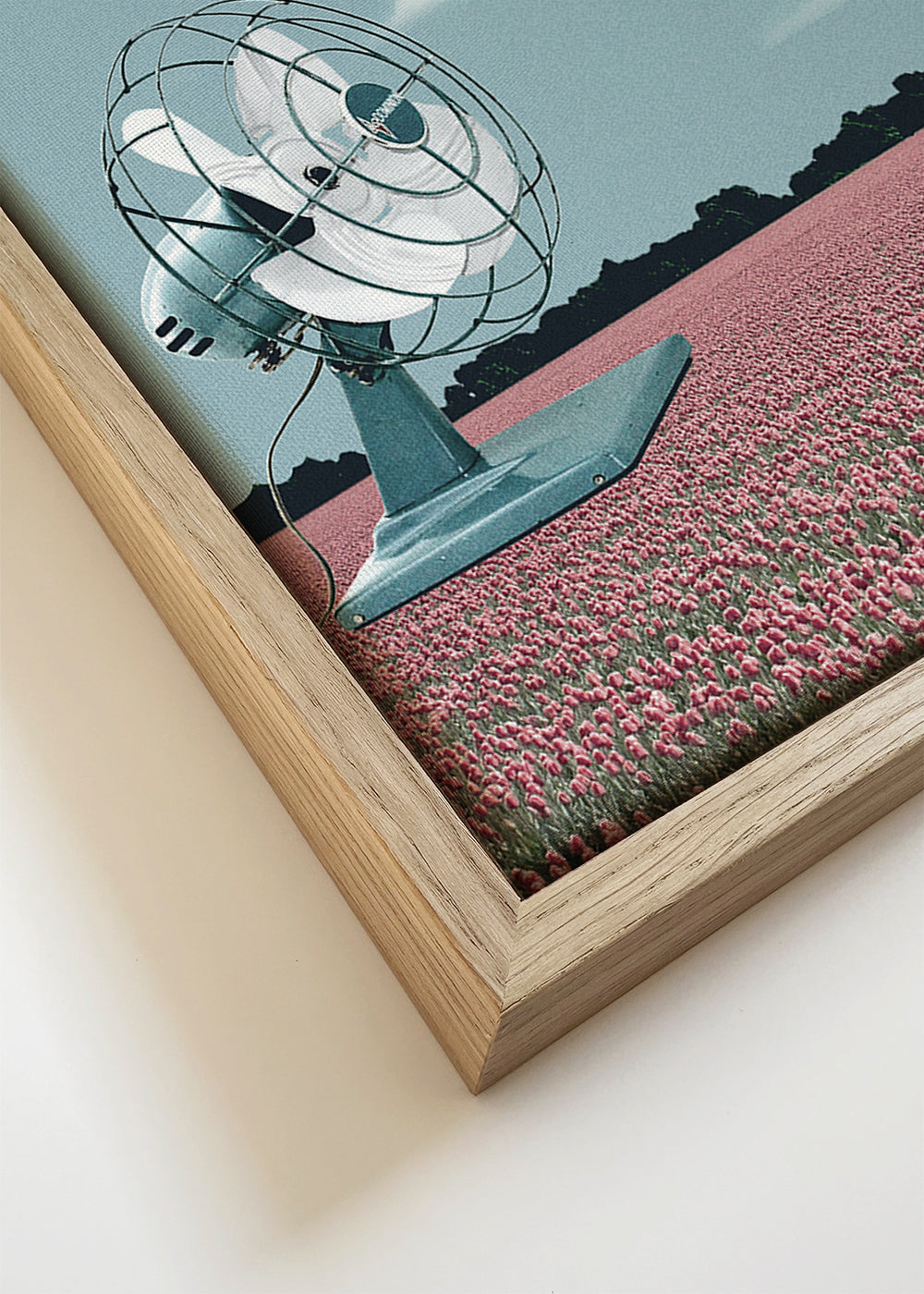 Where the wind takes me