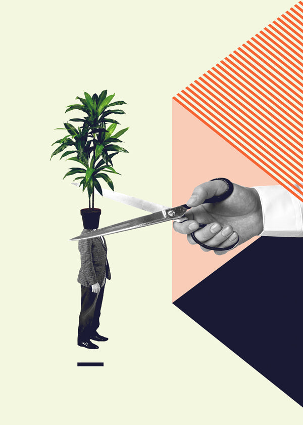 C is for cut the crap