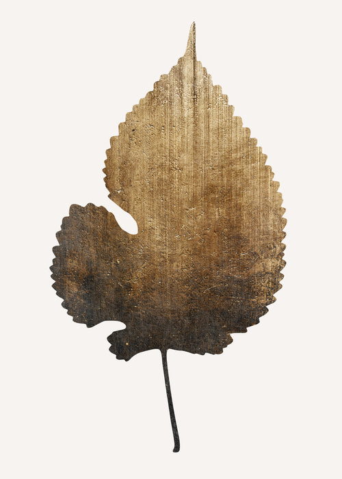Golden leaf - Unframed art print