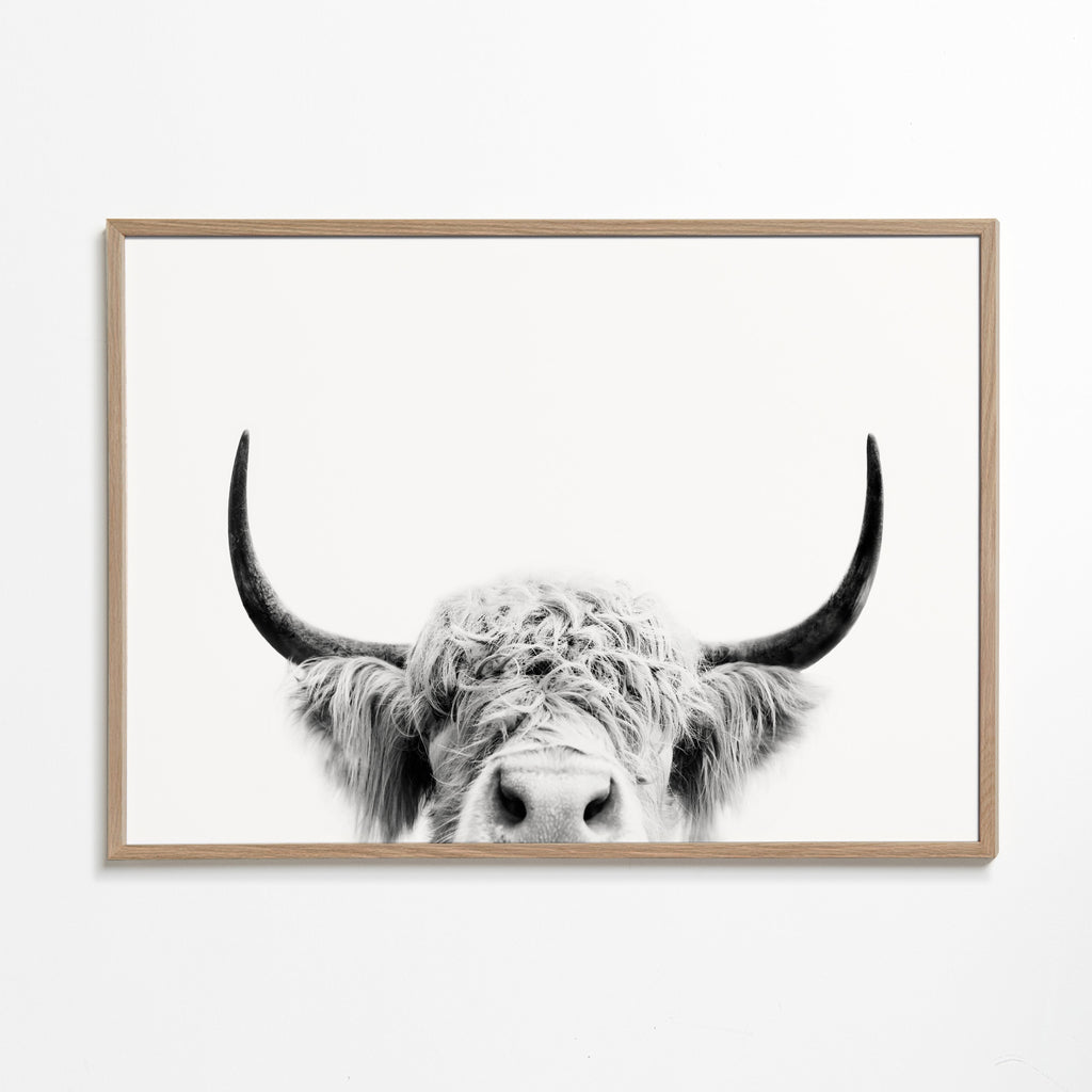 Peeking cow BW