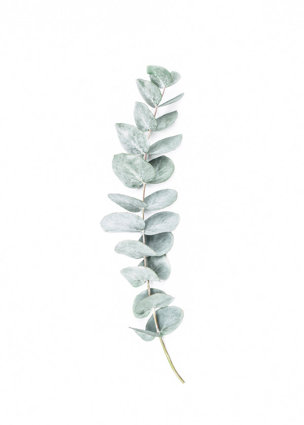 WENGTIAO 3 Pezzi Stampa su Tela Pittura a Inchiostro Minimalista Con Cornice Quadro su Tela Astratto Nero Beige Bianco Grigio Quadri Moderni Soggiorno Casa Camera da Letto Decorazioni Parete 40x60cmx3 WENGTIAO 3 Pezzi Stampa su Tela Pittura a Inchiostro Minimalista Con Cornice Quadro su Tela Astratto Nero Beige Bianco Grigio Quadri Moderni Soggiorno Casa Camera da Letto Decorazioni Parete 40x60cmx3