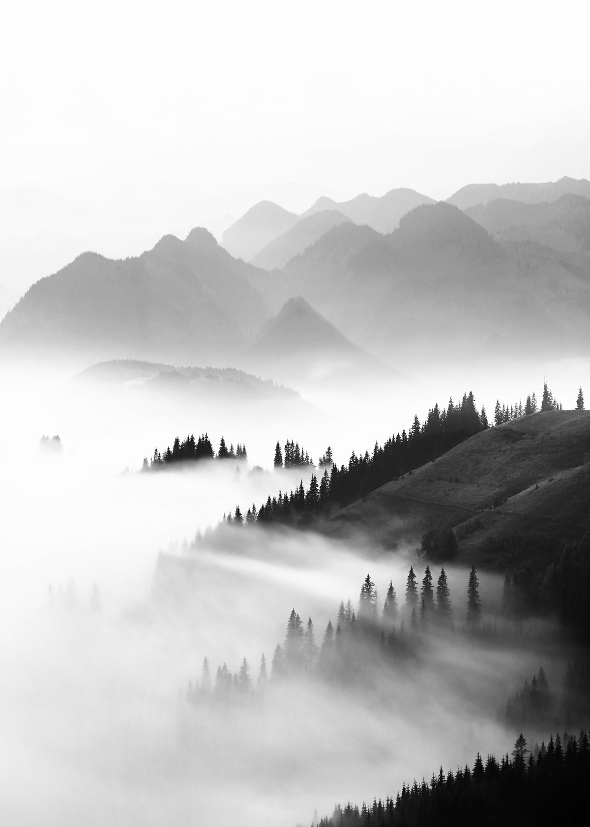 Morning sun BW - Unframed art print