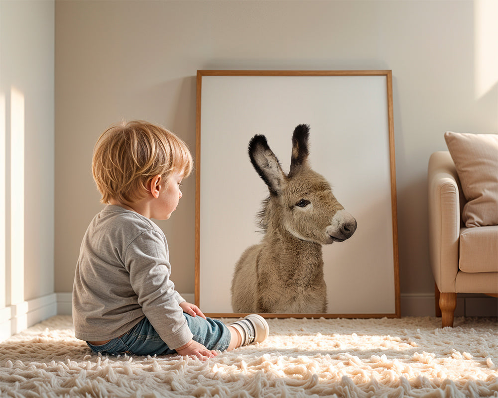 Baby Donkey