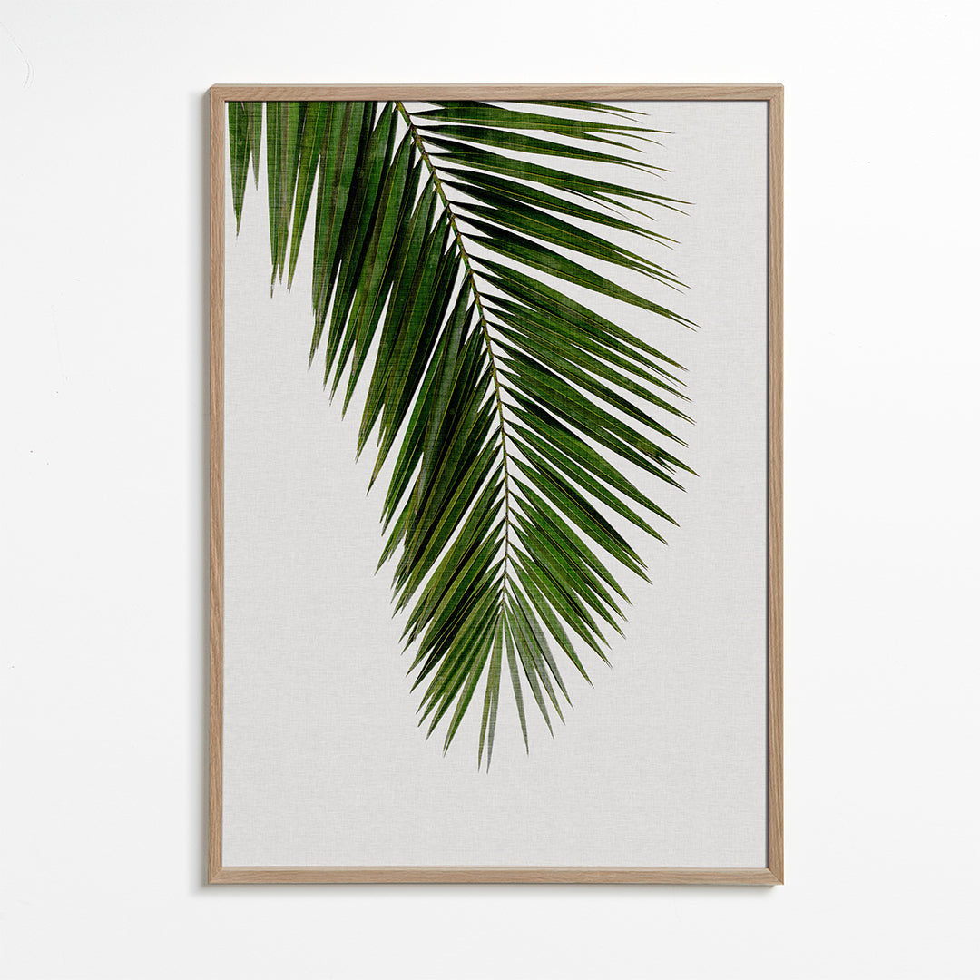 Palm Leaf I