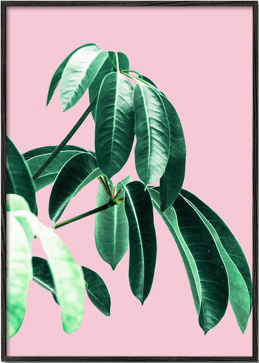 Pink Tropics  2