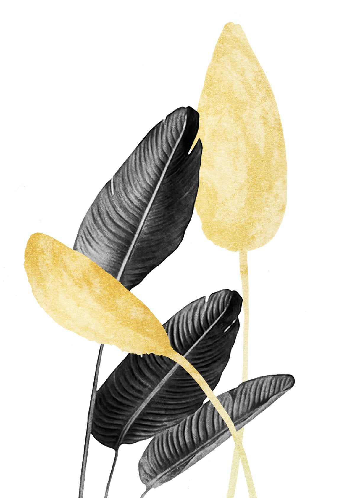 Bird of Paradise Plant Black, White and Gold 02 - Unframed art print