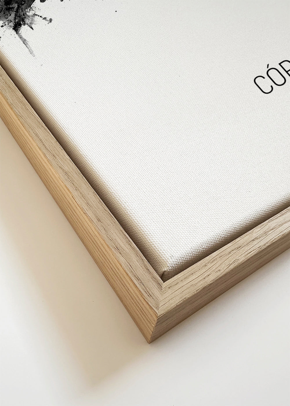 Córdoba Skyline en blanco y negro