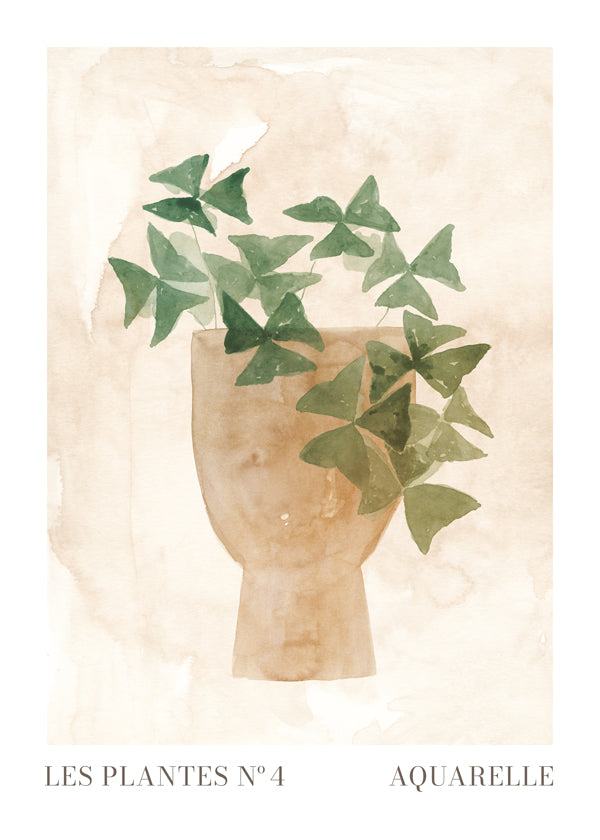 Les plantes Nº4