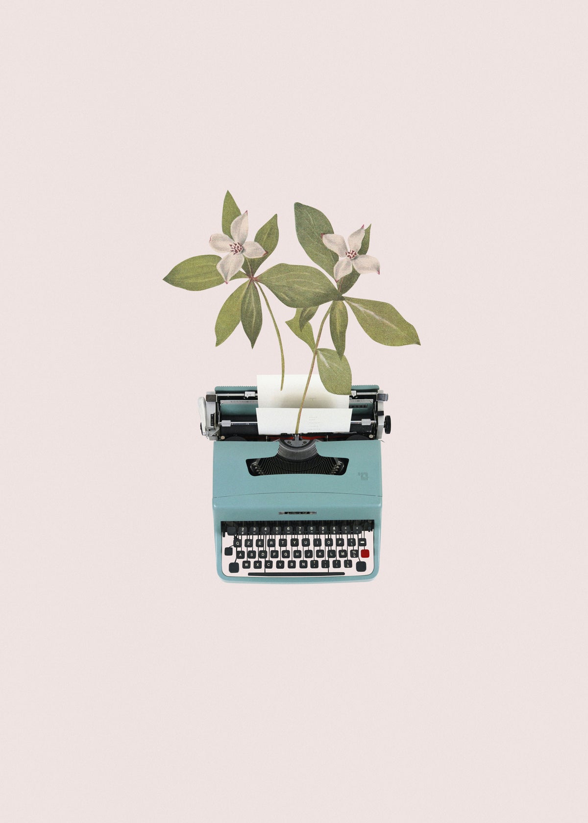 Botanical typewriter - Unframed art print
