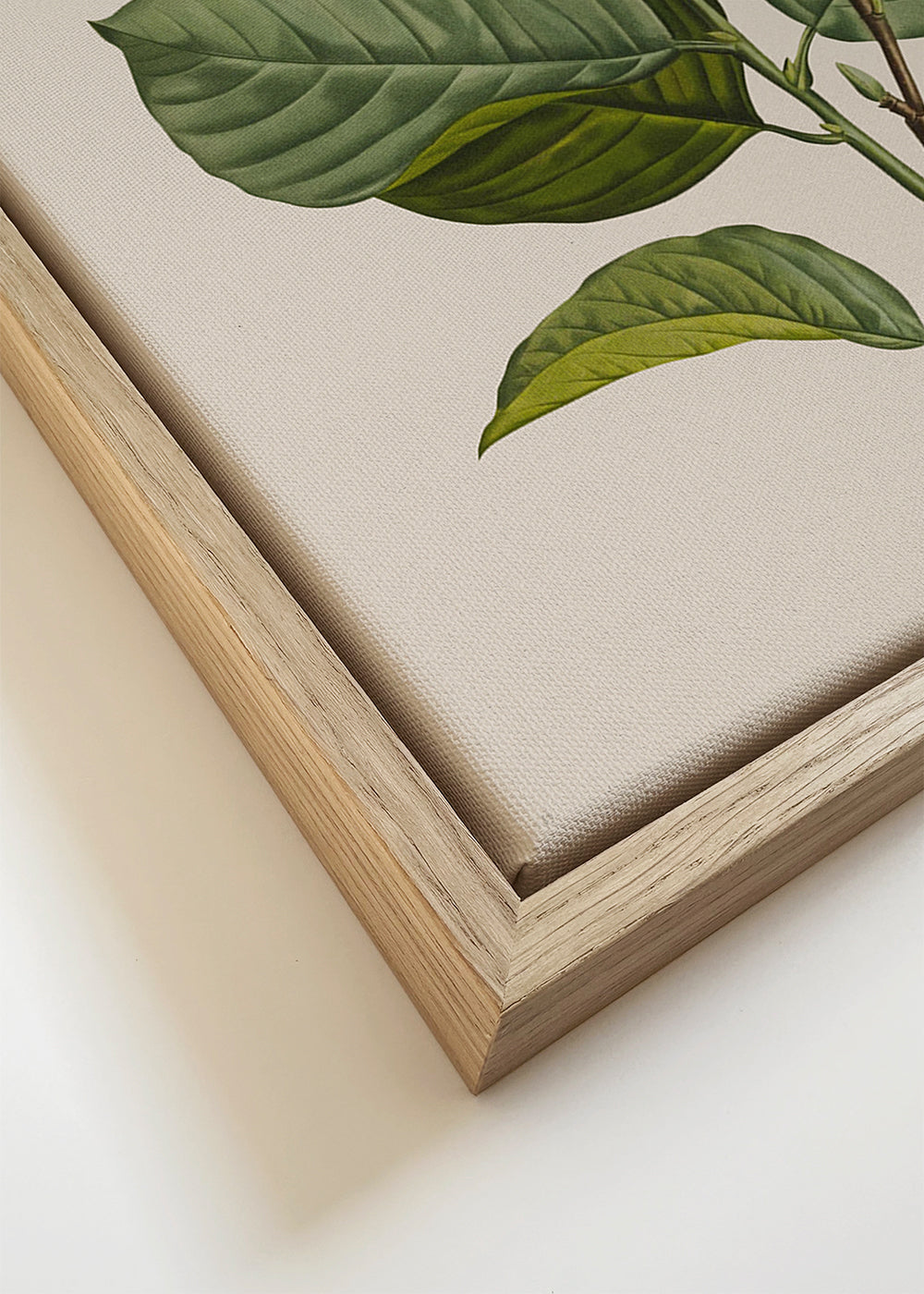 Botanical vintage cameraman