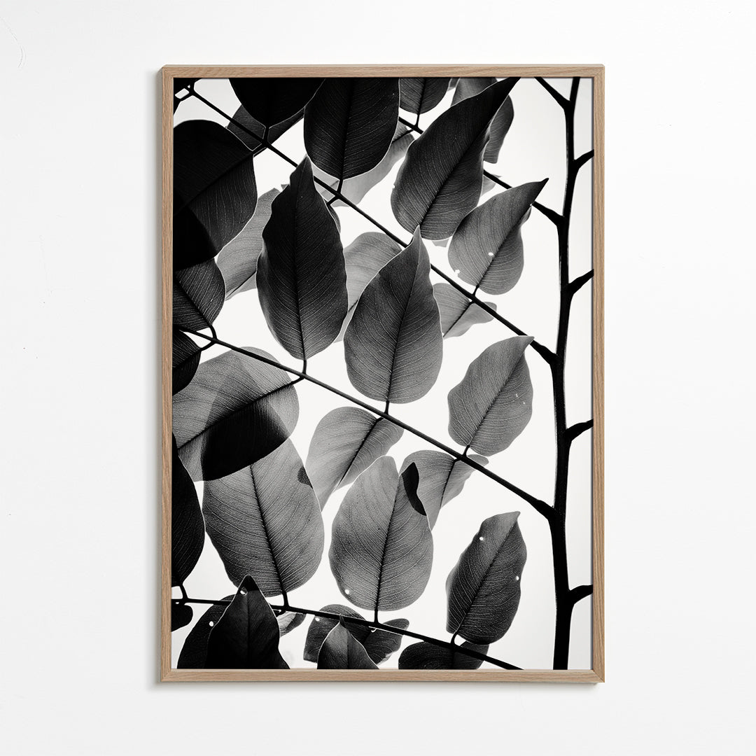 Branches and Leaves II