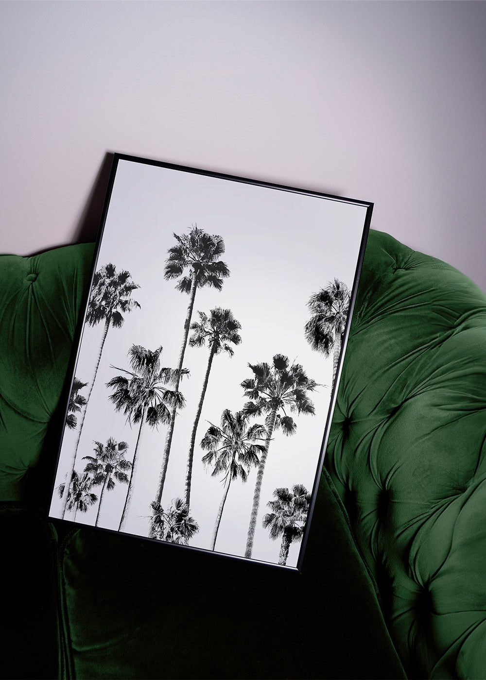 Black And White Palms 3