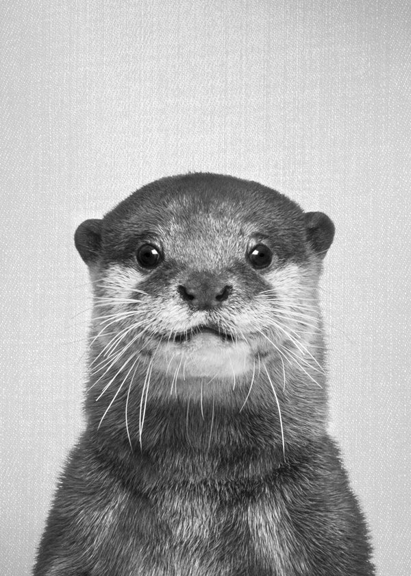 Otter - Black & White