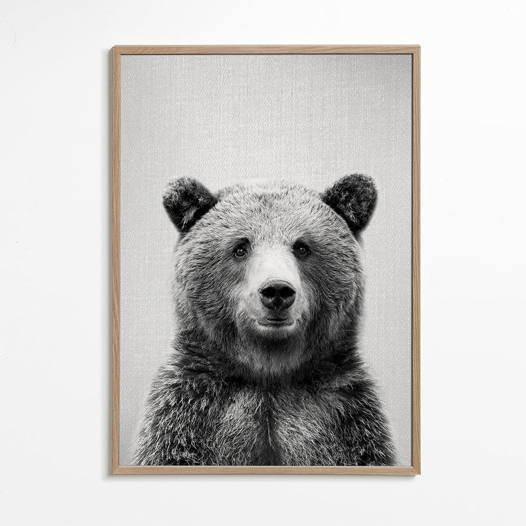 Grizzly Bear - Black & White