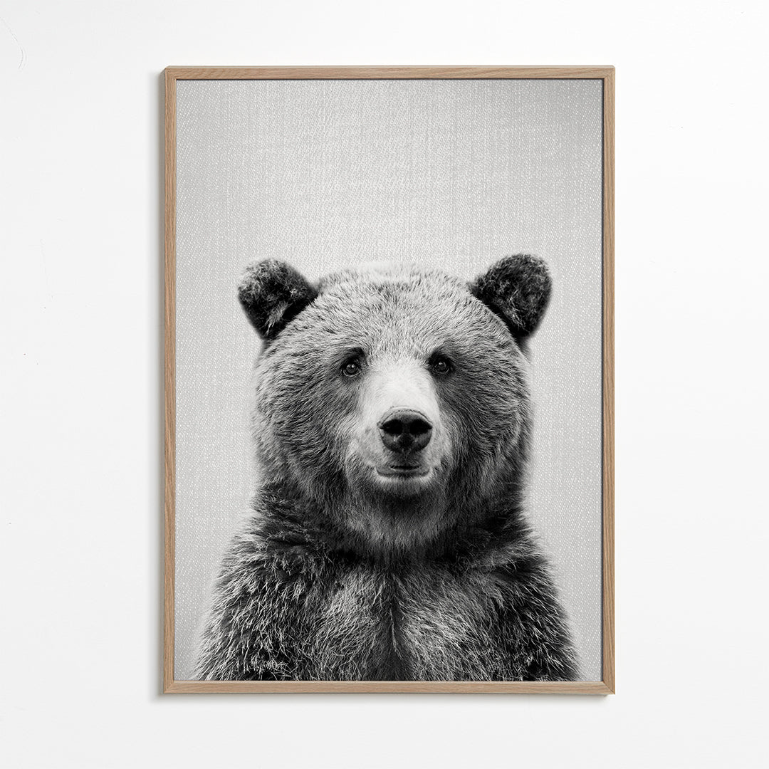 Grizzly Bear - Black & White