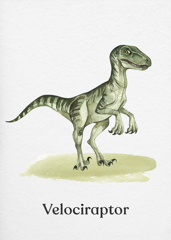 Opera Velociraptor per bambini