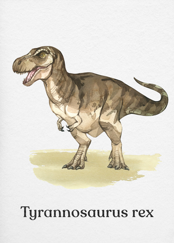 Opera Tyrannosaurus rex illustrazione