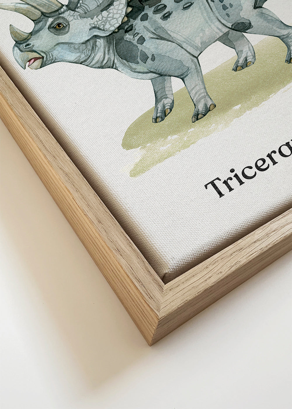 Opera Triceratops illustrazione ad acquerello