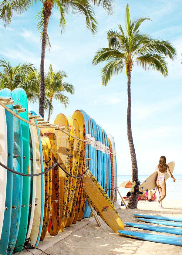 Choose Your Surfboard 2