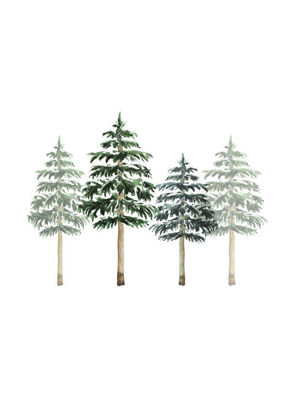 Pinetrees Winter Forest