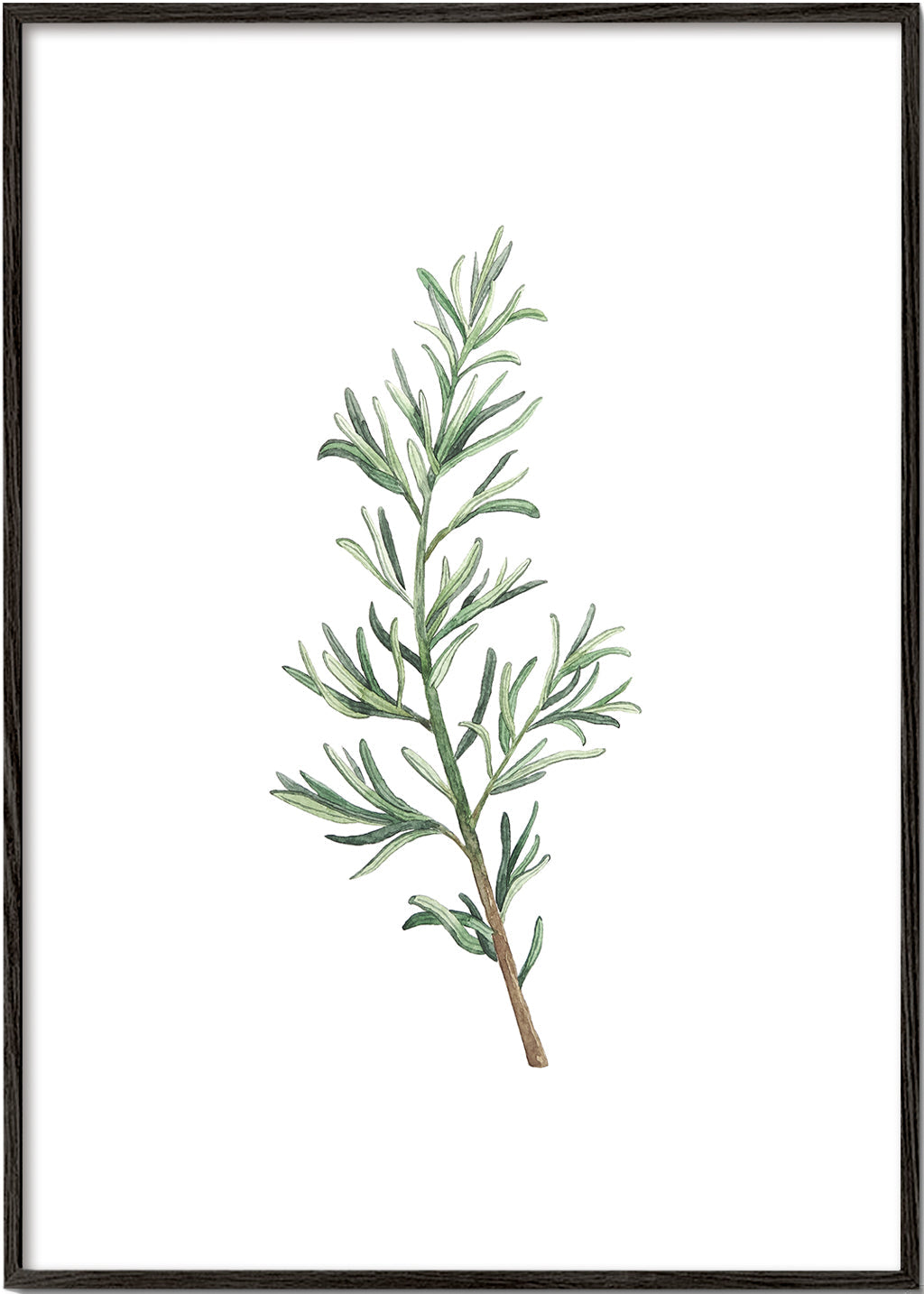 Rosemary Branch
