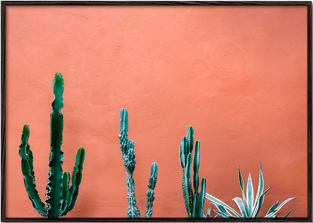 Stampa botanica con cactus su parete terracotta – Black Frame