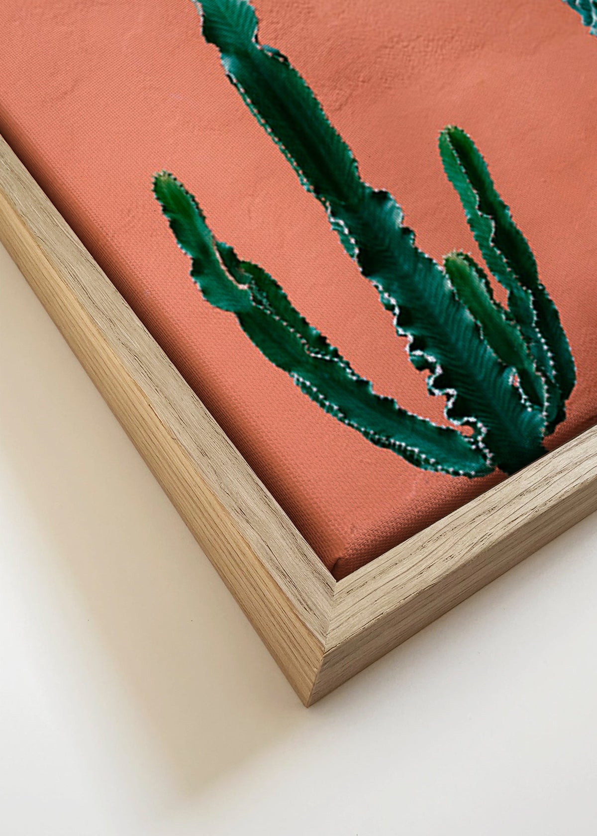Stampa botanica con cactus su parete terracotta – Canvas detail