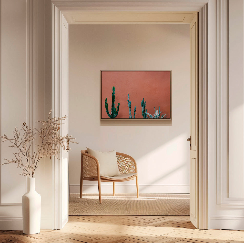 Stampa botanica con cactus su parete terracotta – Canvas1
