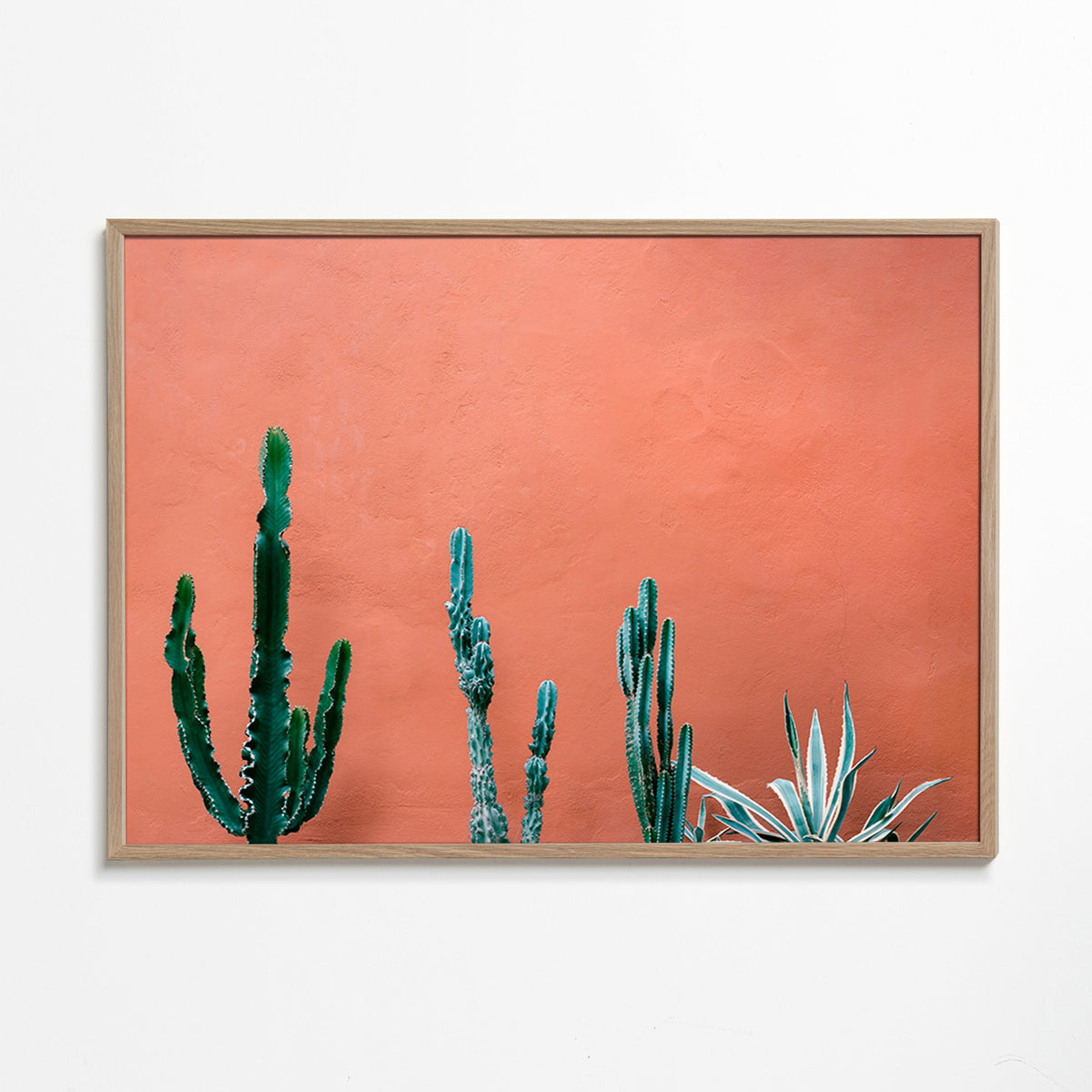 Stampa botanica con cactus su parete terracotta – Oak Frame