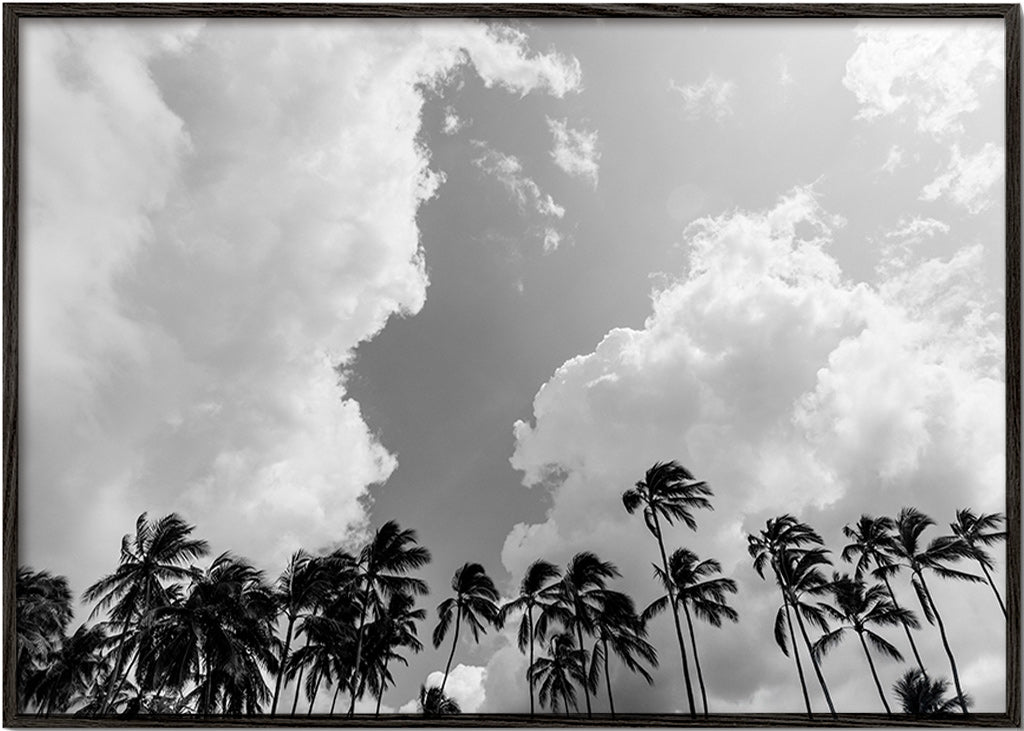 Arte paesaggistica con palme e cielo drammatico – Black Frame
